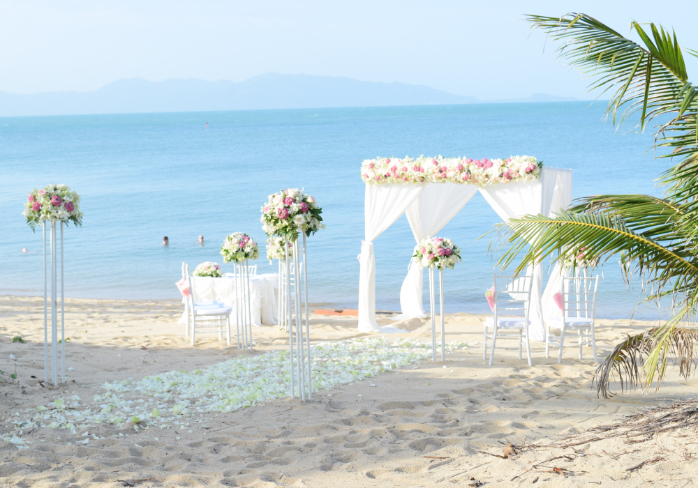 If you want to surprise your marriage proposal, Coco Palm is the best for you