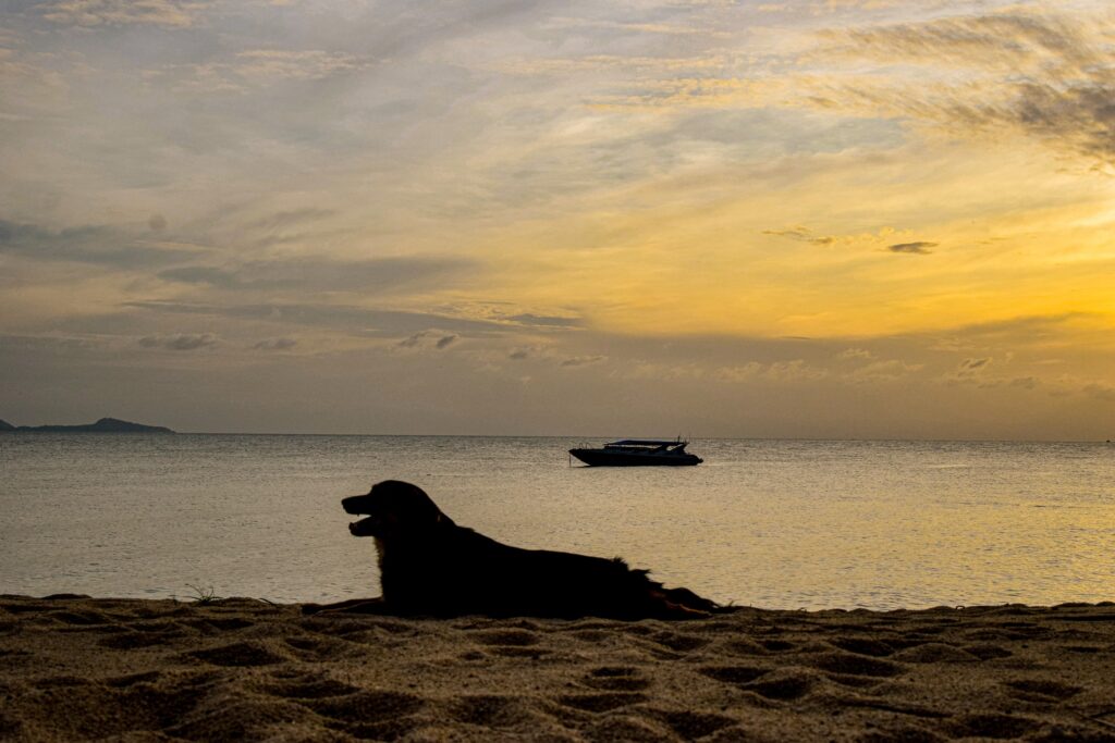 Ban Tai Beach